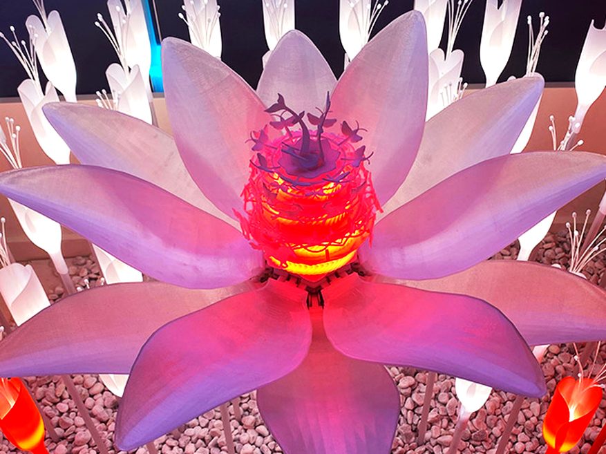 Dubai Expo 2020 — gli ambienti espositivi del padiglione